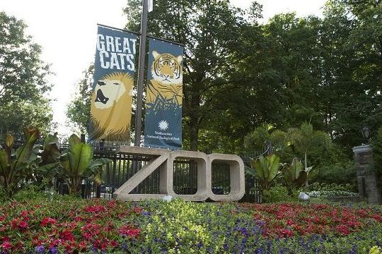 史密森尼國家動物園