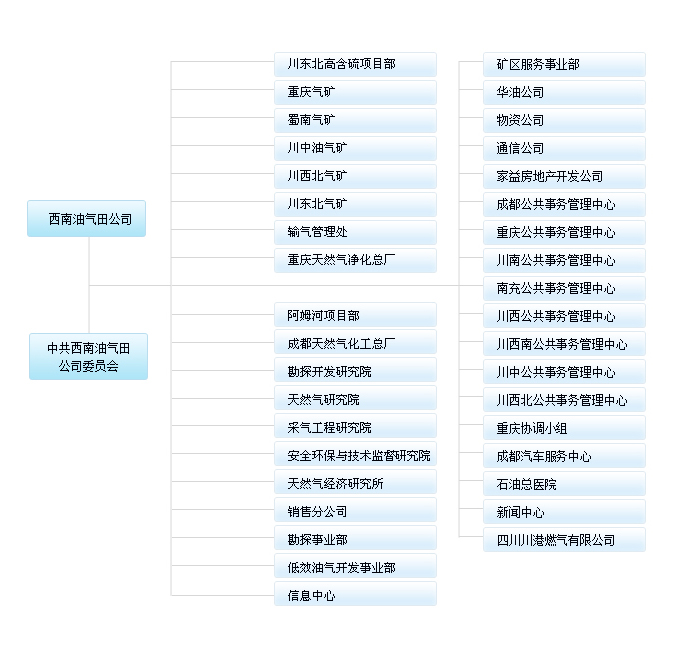 中國石油天然氣股份有限公司西南油氣田分公司(西南油氣田分公司)