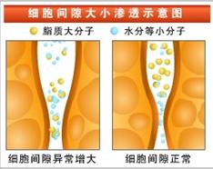 細胞營養素B