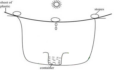日光蒸餾法