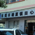 田心社區(廣東東莞市塘廈鎮下轄社區)