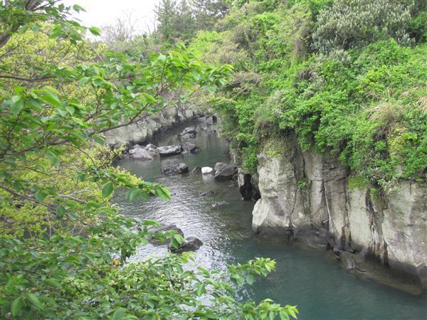 浙江龍泉龍淵森林公園