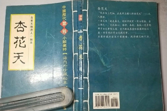 杏花天(清代小說)