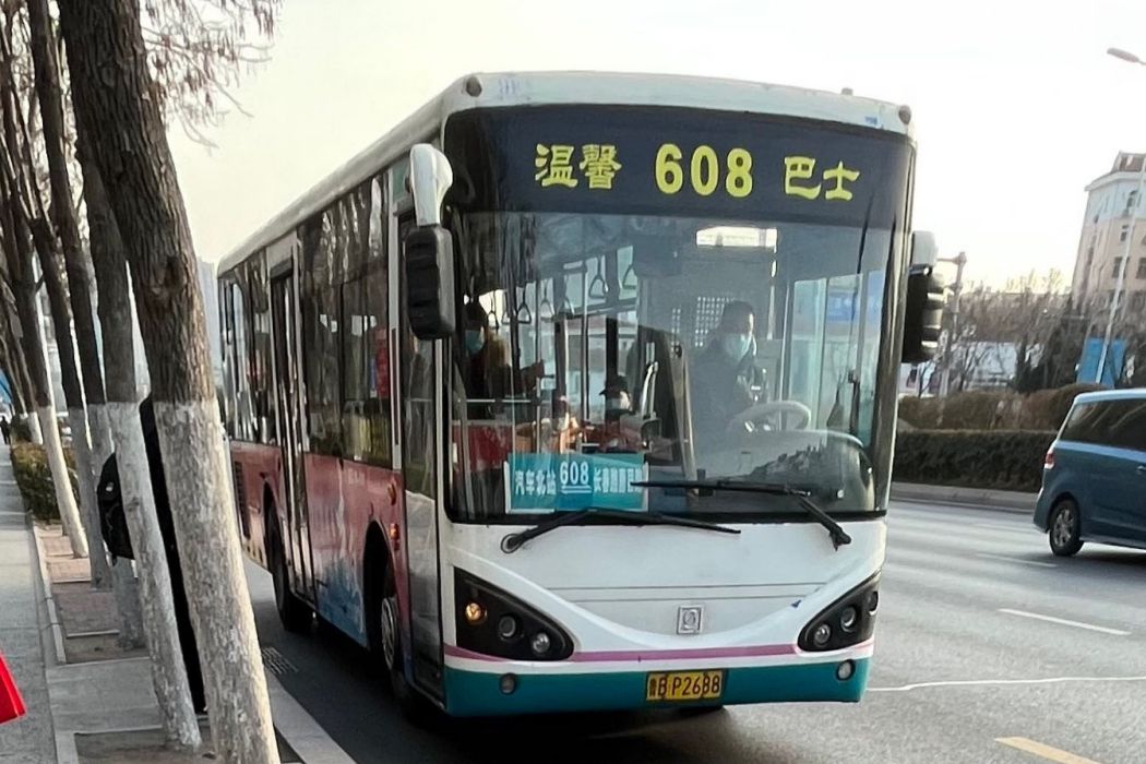 青島公交608路