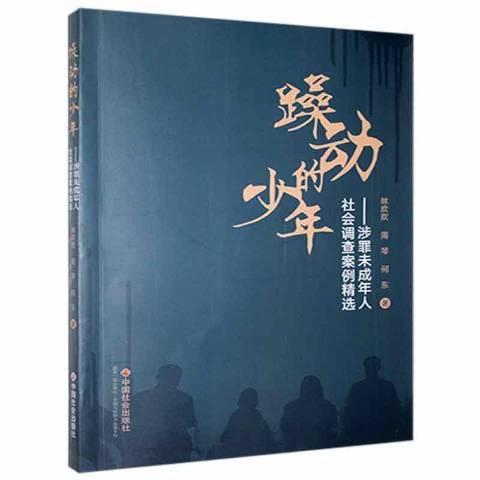 躁動的少年--涉罪未成年人社會調查案例