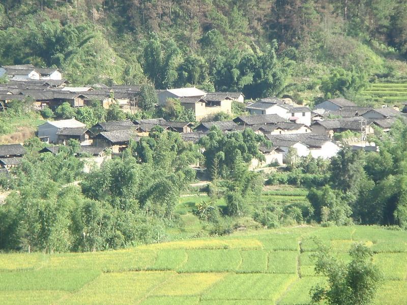 芒回紅坡村