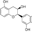 酶食素