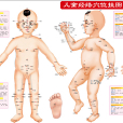 兒童經絡穴位掛圖-1張·附解說冊