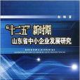 “十二五”新時期山東省中小企業發展研究