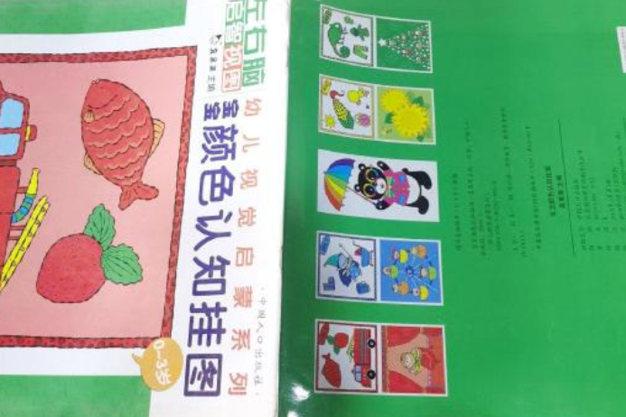 幼兒視覺啟蒙系列：寶寶顏色認知掛圖