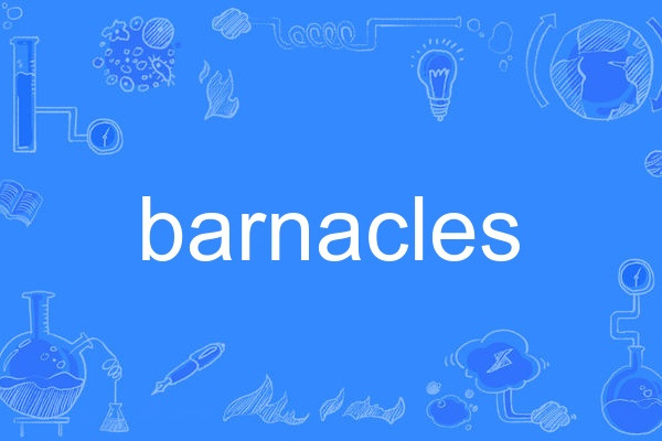 barnacles