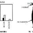 電火箭