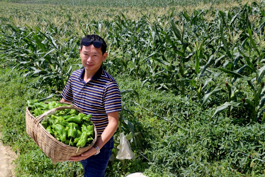 胡兵(泊頭市園農種植專業合作社理事長)