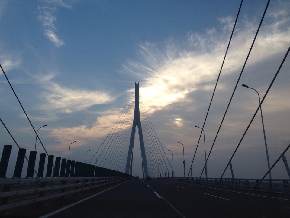 鄂東長江大橋(湖北鄂東長江公路大橋)