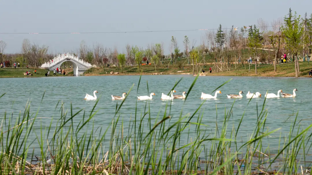 淮陽森林主題公園·梅園