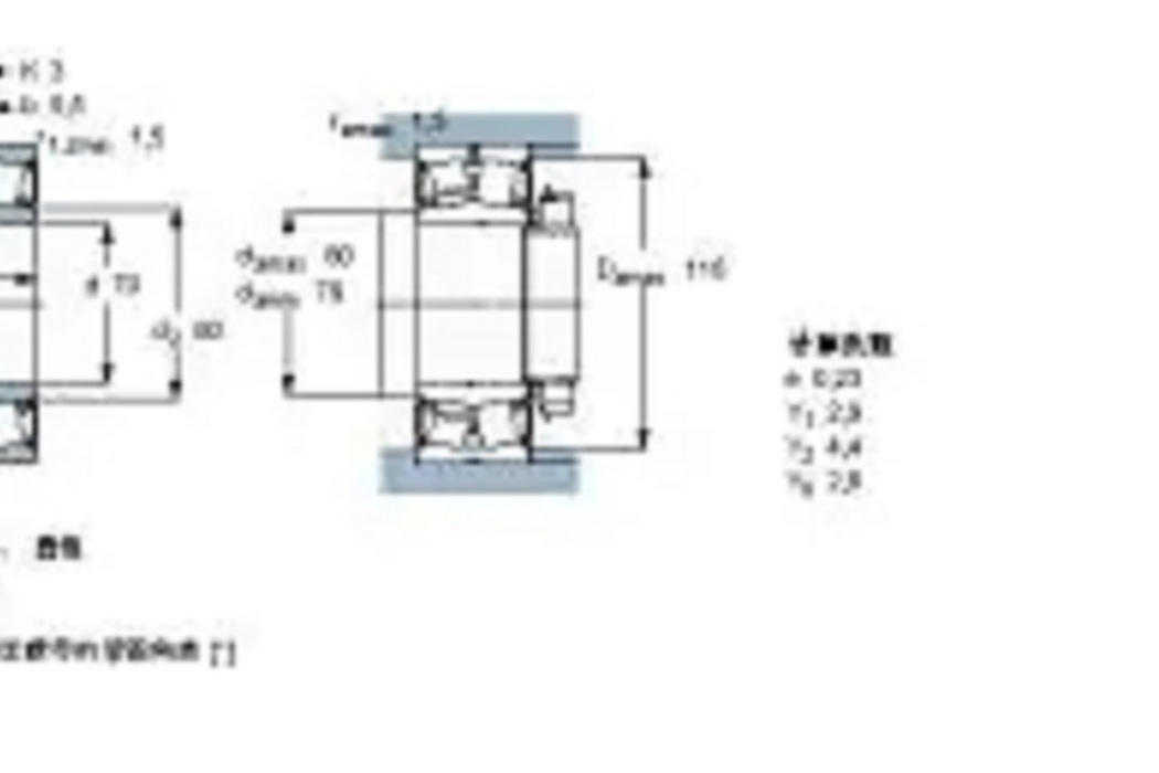 SKF BS2-2214-2CSK-VT143軸承