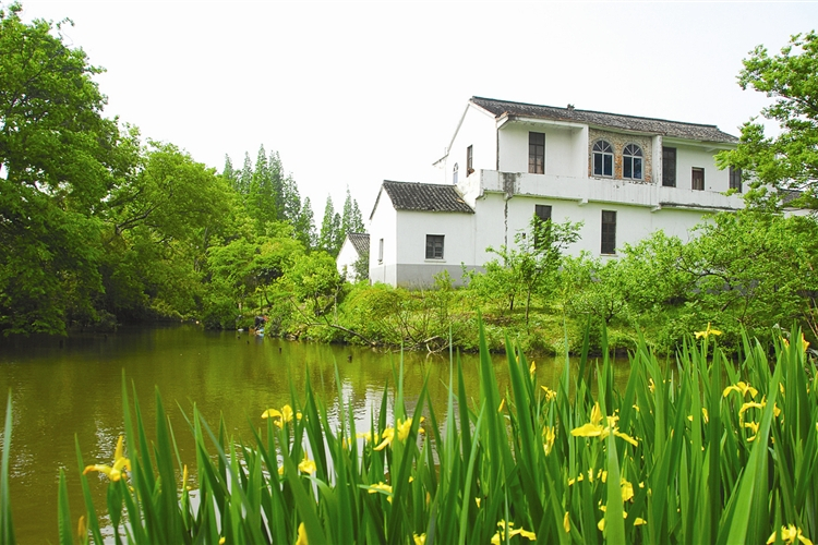 廠上自然村(雲南省昆明市廠東川區舍塊鄉上自然村)