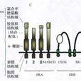 甘露糖受體