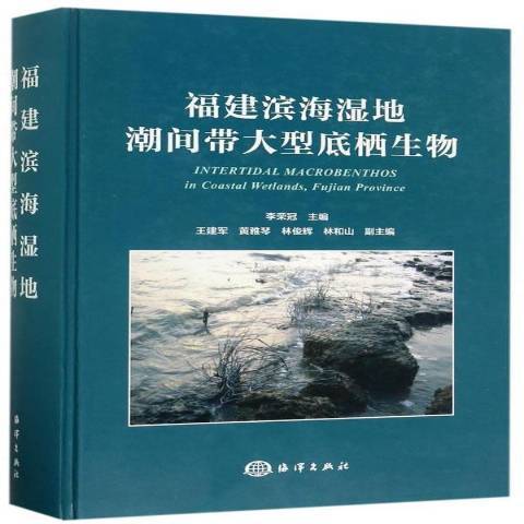 福建濱海濕地潮間帶大型底棲生物