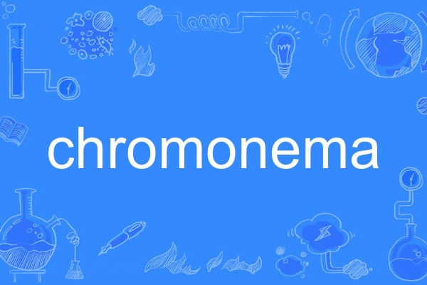 chromonema