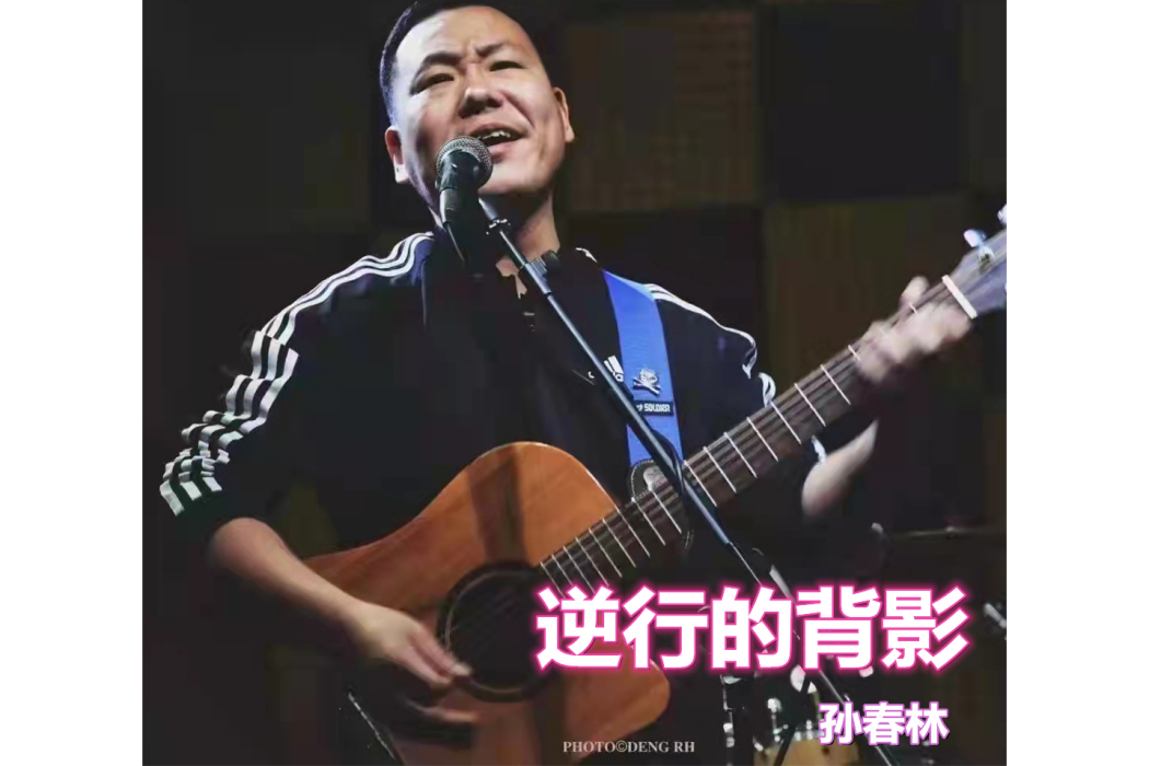 逆行的背影(孫春林演唱的歌曲)