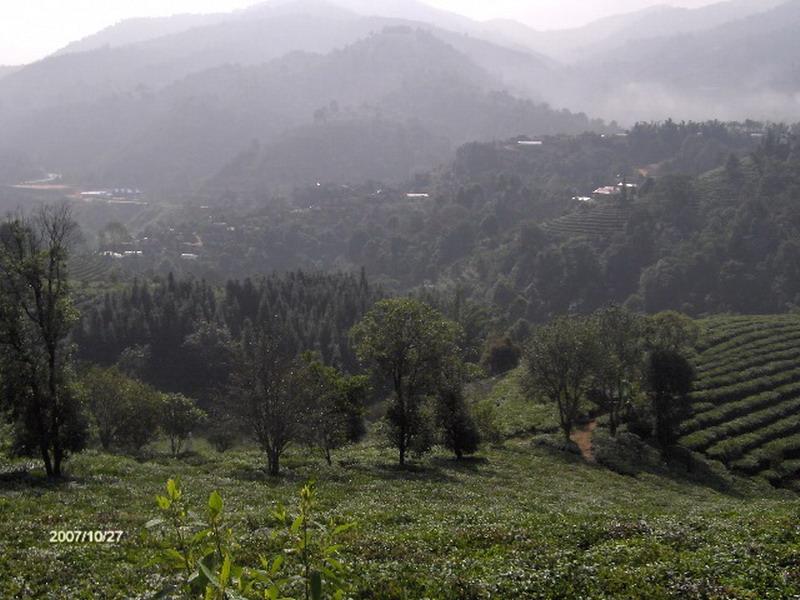 水河寨村