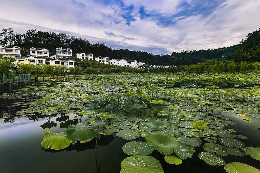 萬壽養生谷旅遊景區