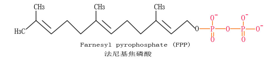 法尼基