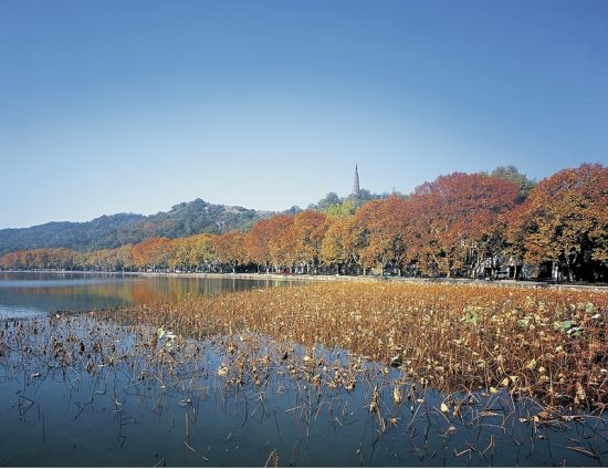 西湖十景