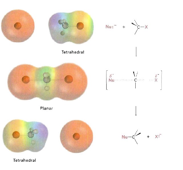 雙分子親核取代反應(Sn2)