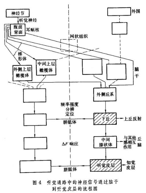 微波聲學