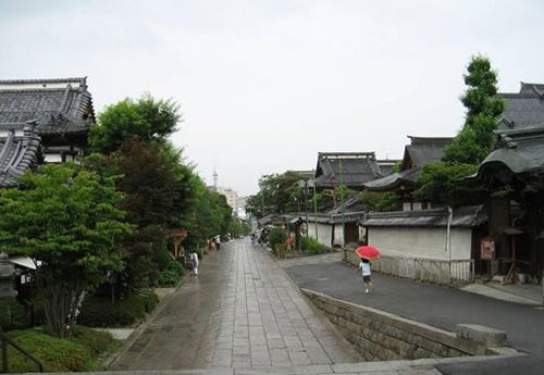 農村城市化