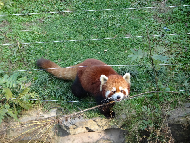 淮安動物園