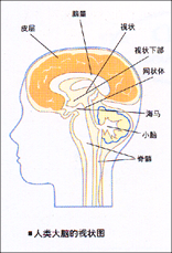 普羅賽安潛能開發機