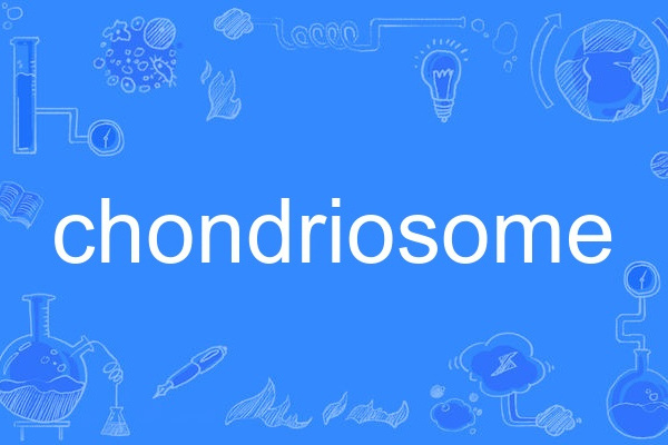 chondriosome