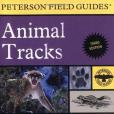 A Field Guide to Animal Tracks