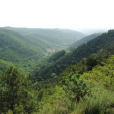 方山森林公園