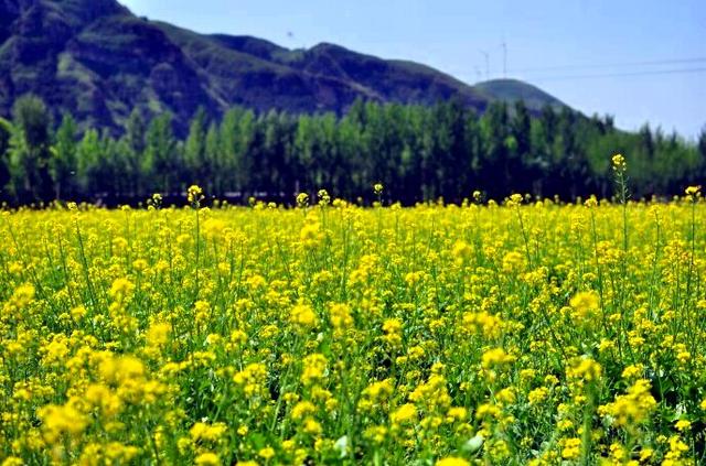 連山虹螺山自然保護區