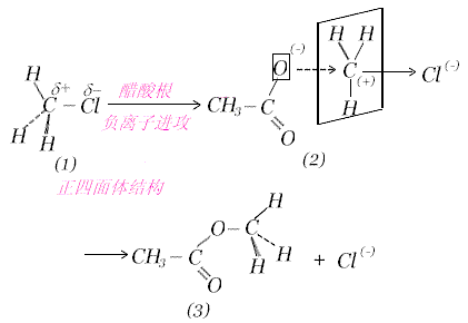 Walden轉化