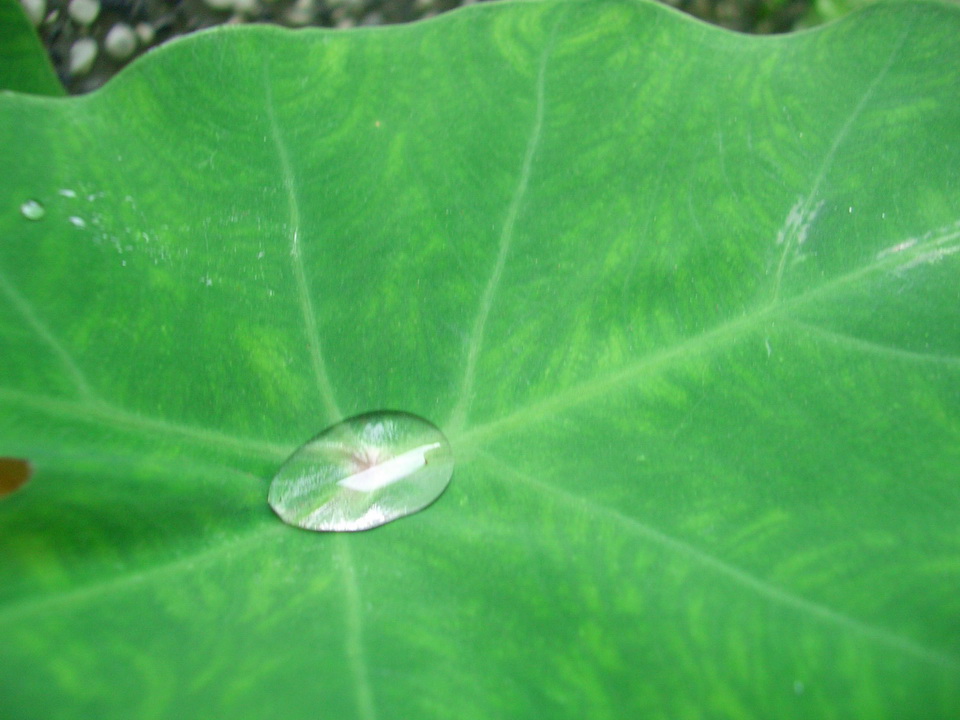 有水照片