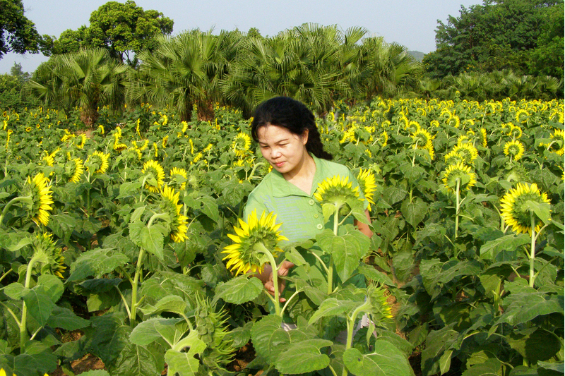 李小麗(高級教師)