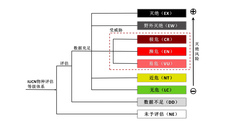 中國生物多樣性紅色名錄—大型真菌卷