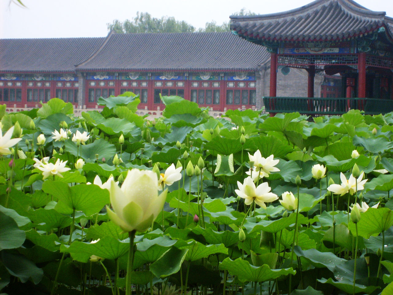 瀋陽中華寺墓園