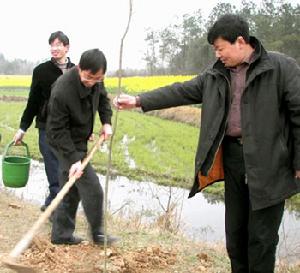 圍田林業