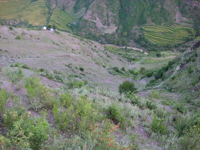 練登八村荒地