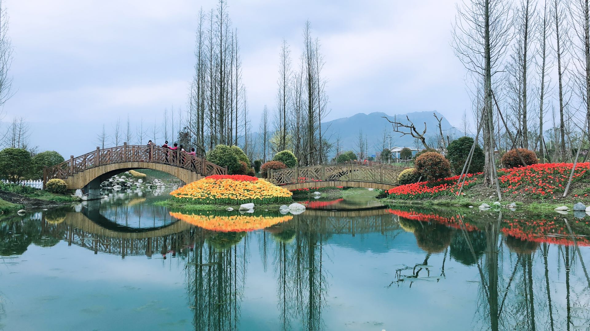 通濟花海