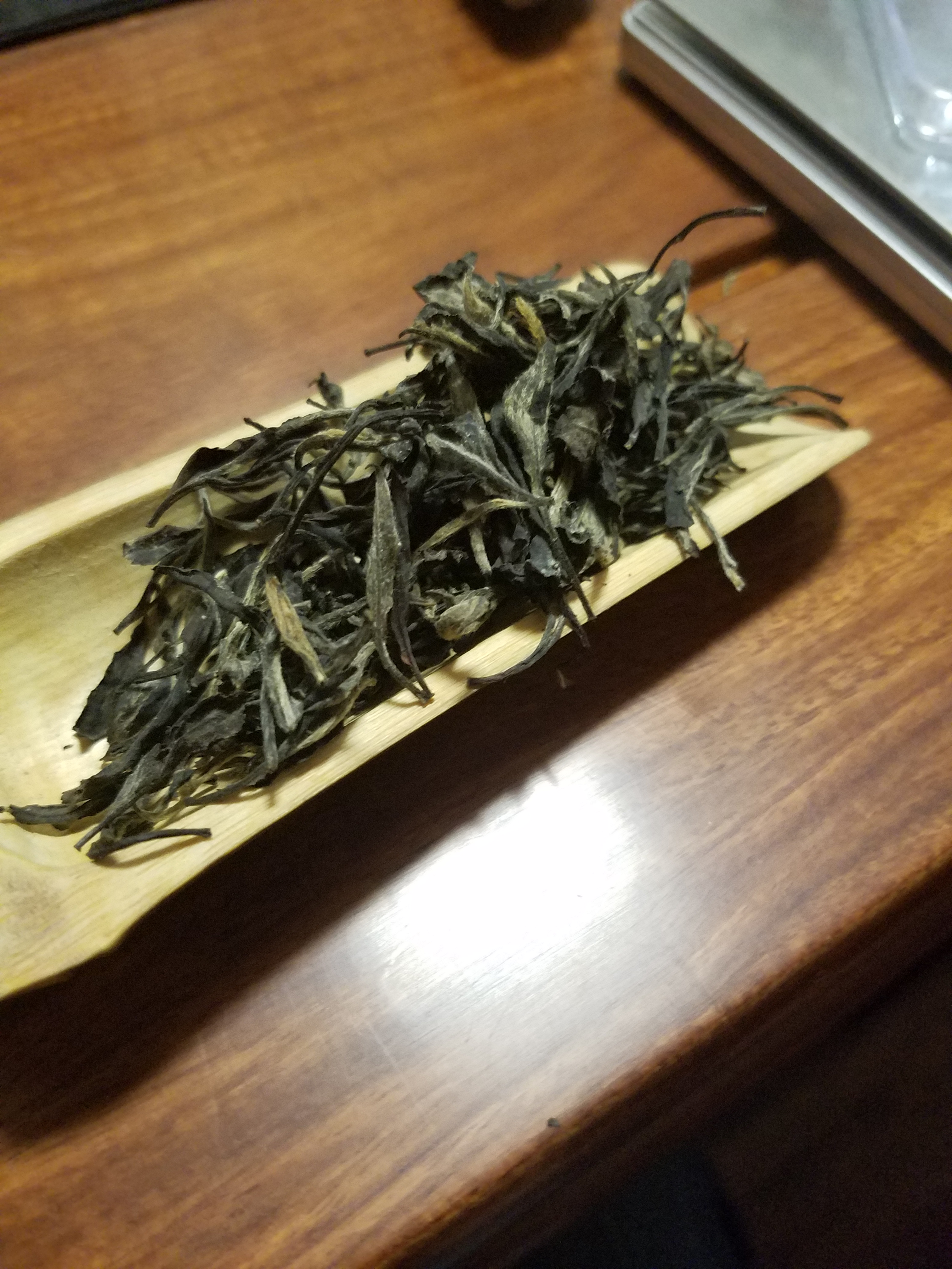 烏龍茶(雙子葉植物綱山茶目植物)