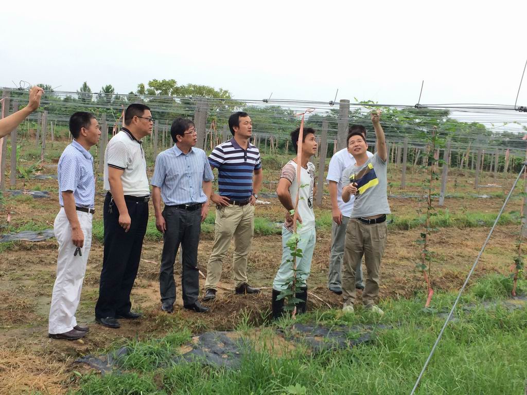 江西省鄧家埠水稻原種場