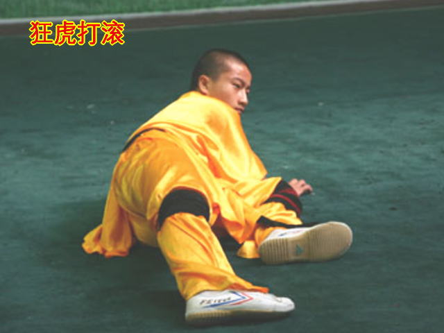 虎拳(中國傳統武術流派之一)