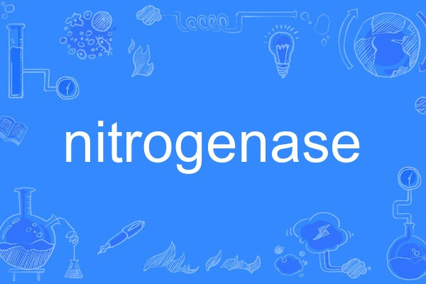 nitrogenase